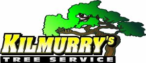 Kilmurry Tree Logo