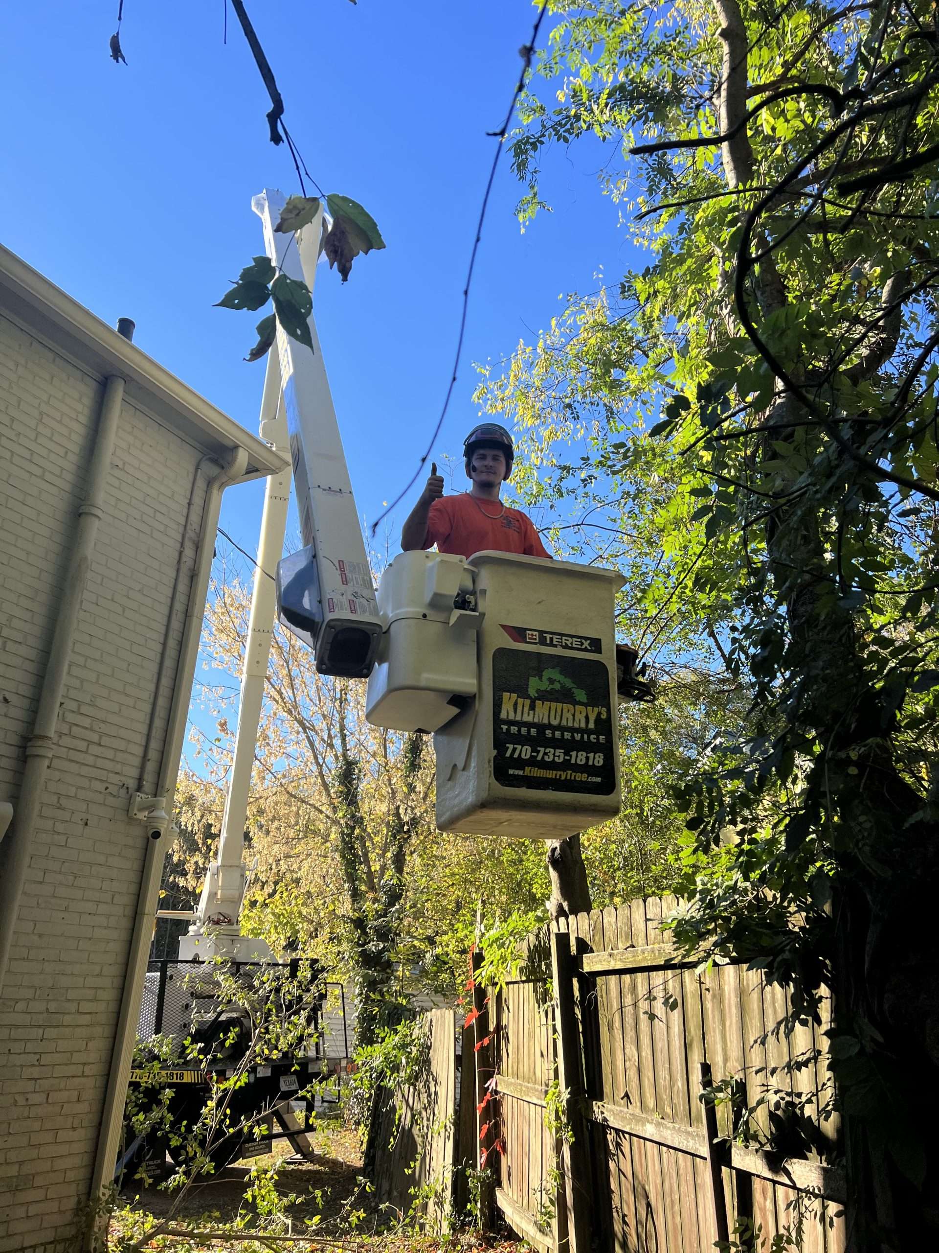 Kilmurry Tree Removal & Clean Up