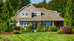 Tree Tips For Homeowners